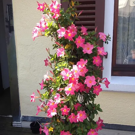 Zur Krone Estalagem 3*